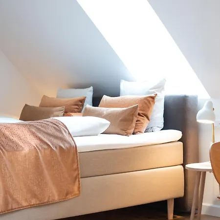 西克斯图斯希纳托会议酒店 酒店