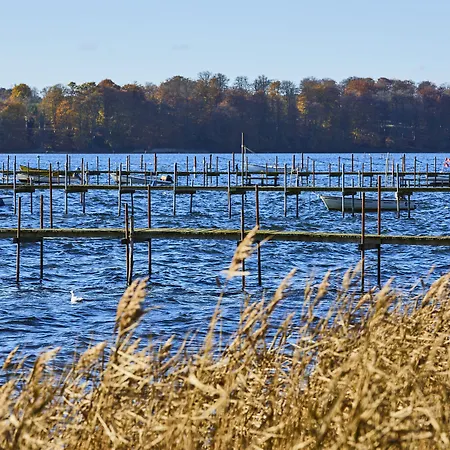 西克斯图斯希纳托会议酒店 酒店 4*