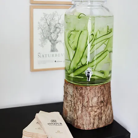 酒店 西克斯图斯希纳托会议酒店 4*